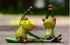 新开传奇新区