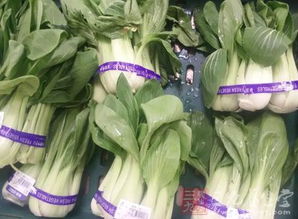 解讀食用農(nóng)產(chǎn)品入場交易法規(guī)制度——以食用農(nóng)產(chǎn)品批發(fā)環(huán)節(jié)為中心